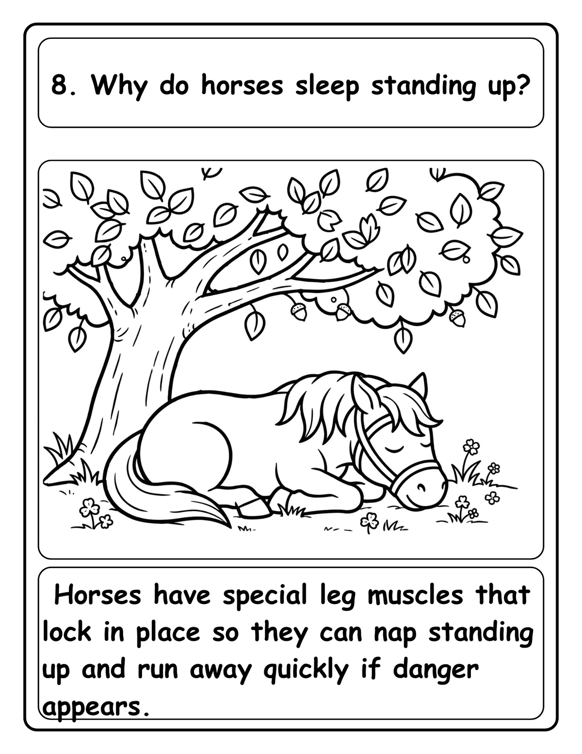 Amazing Whys: 100 Ways coloring pages: About Animals,