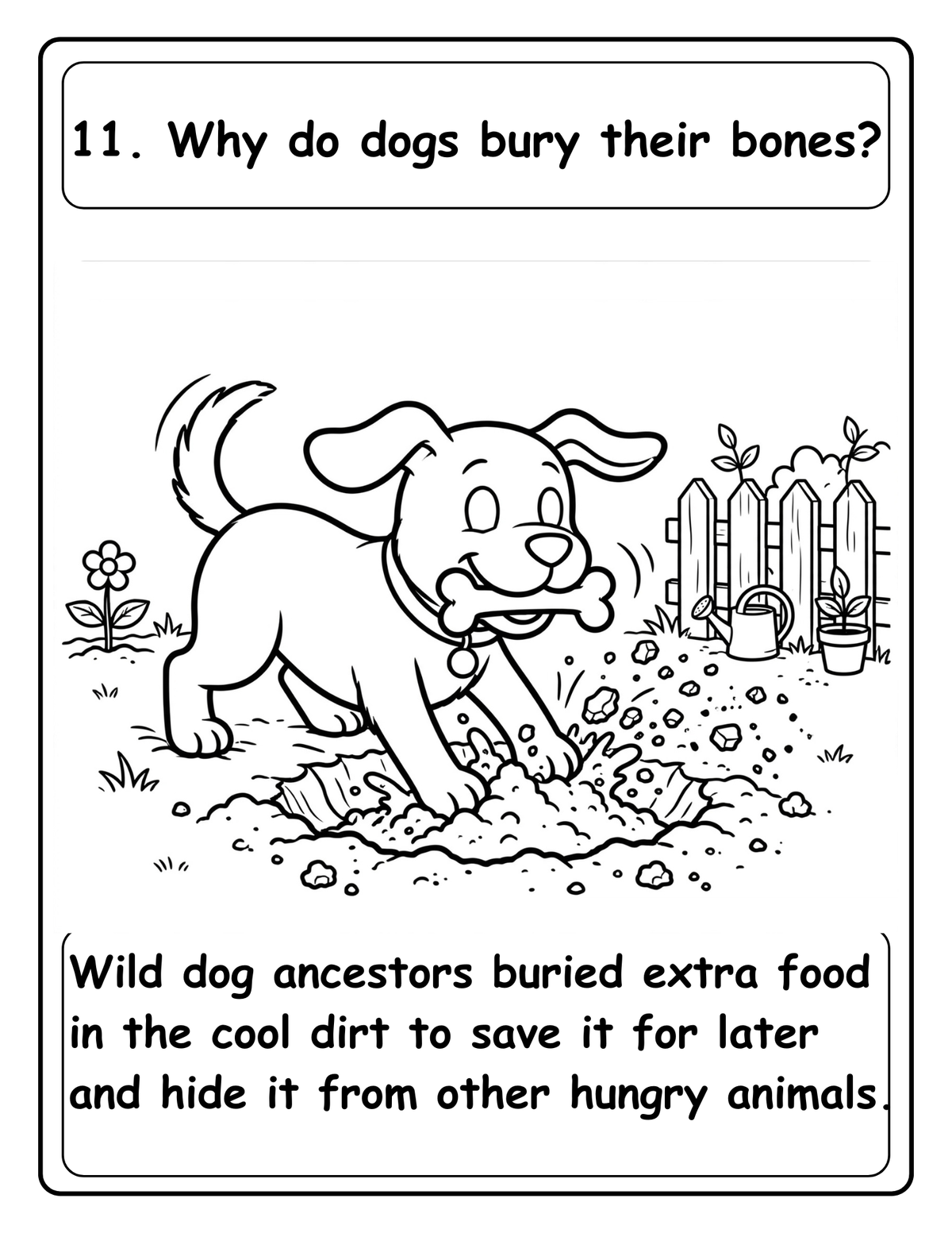 Amazing Whys: 100 Ways coloring pages: About Animals,