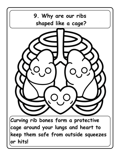 100 Whys About The Human Body:Coloring Book