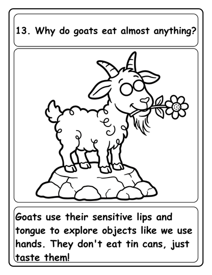 Amazing Whys: 100 Ways coloring pages: About Animals,